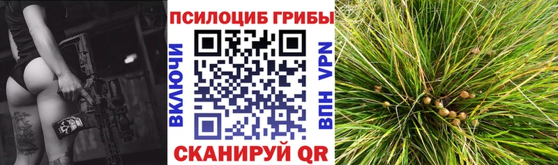 Галлюциногенные грибы Cubensis  купить наркотики сайты  Вязьма 